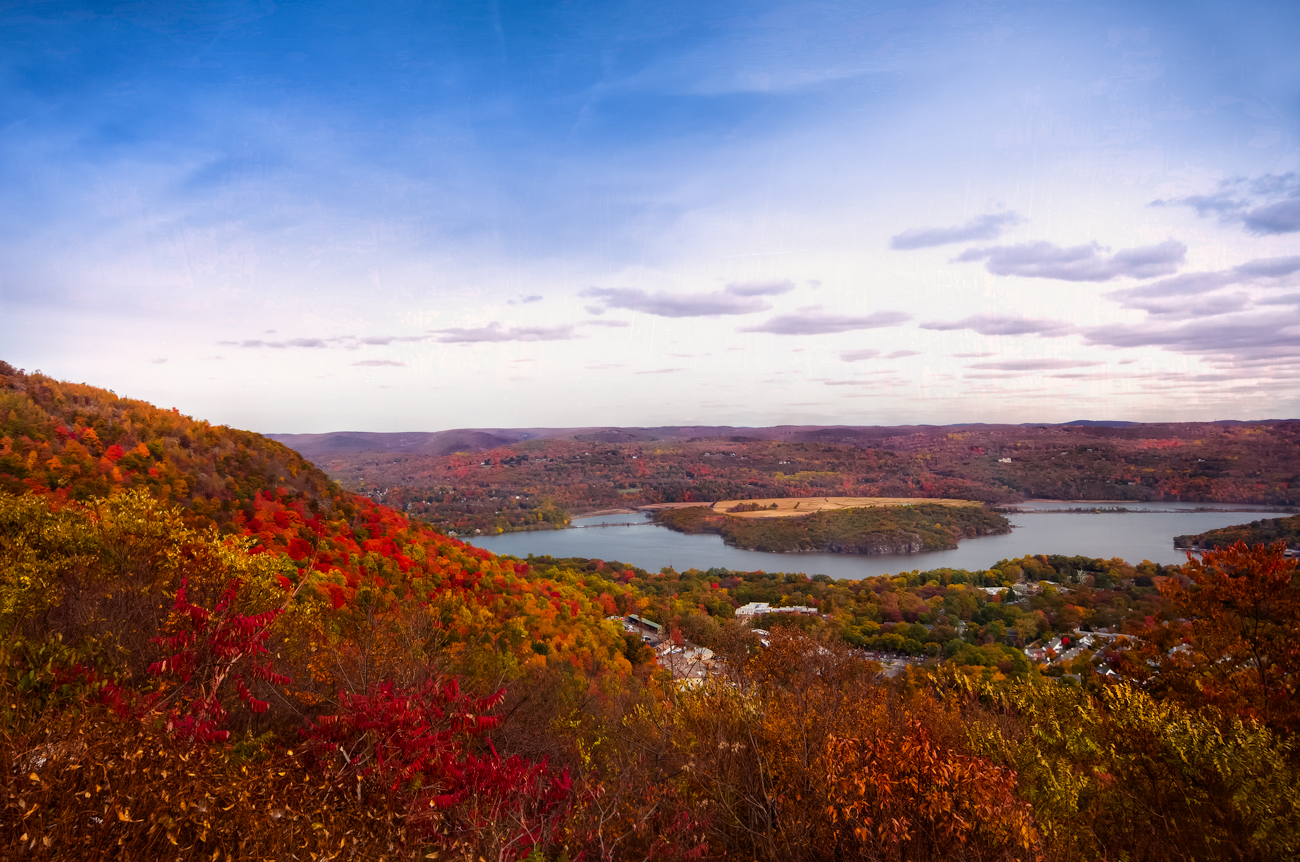 Overview of the fall policies